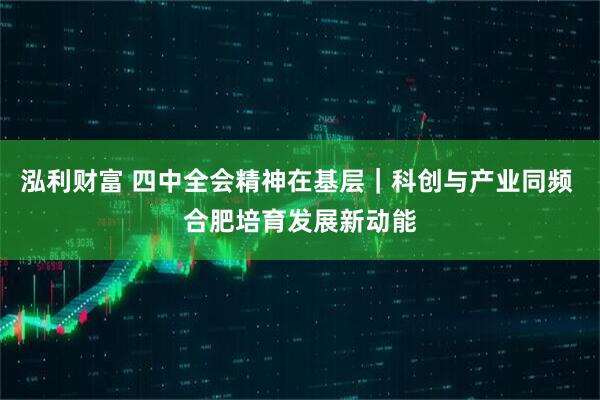 泓利财富 四中全会精神在基层｜科创与产业同频 合肥培育发展新动能