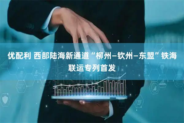 优配利 西部陆海新通道“柳州—钦州—东盟”铁海联运专列首发