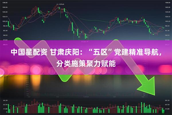 中国星配资 甘肃庆阳：“五区”党建精准导航，分类施策聚力赋能