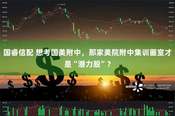 国睿信配 想考国美附中，那家美院附中集训画室才是“潜力股”？