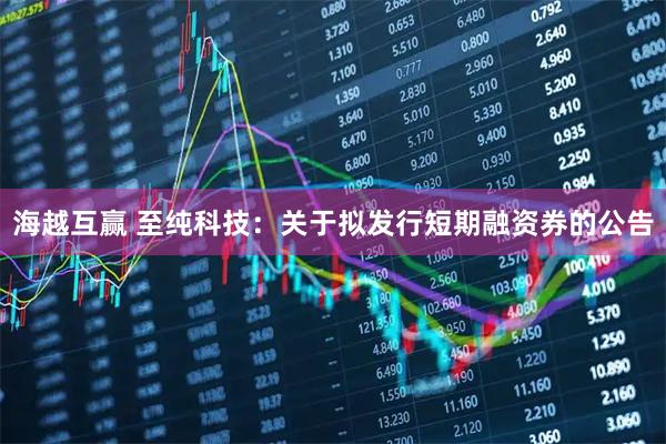 海越互赢 至纯科技：关于拟发行短期融资券的公告