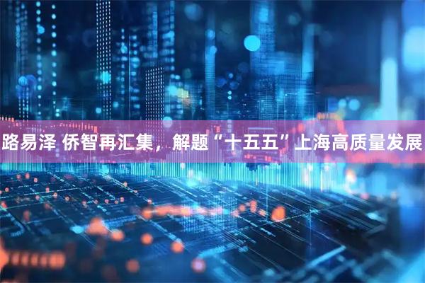 路易泽 侨智再汇集，解题“十五五”上海高质量发展