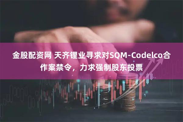 金股配资网 天齐锂业寻求对SQM-Codelco合作案禁令，力求强制股东投票