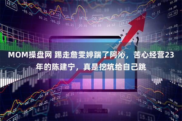 MOM操盘网 踢走詹雯婷踹了阿沁，苦心经营23年的陈建宁，真是挖坑给自己跳