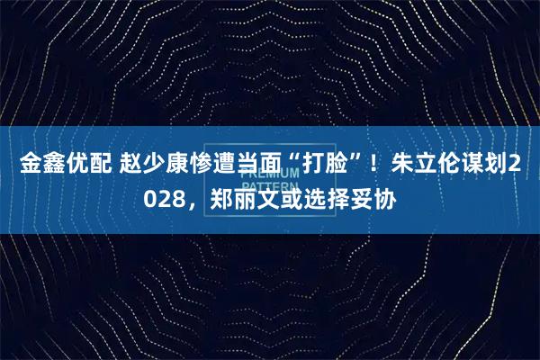 金鑫优配 赵少康惨遭当面“打脸”！朱立伦谋划2028，郑丽文或选择妥协