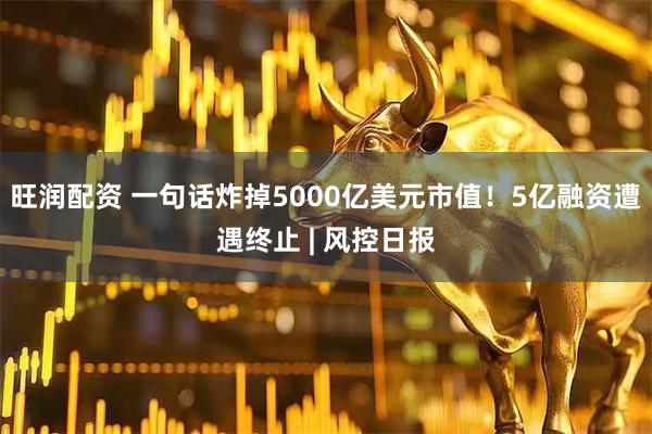 旺润配资 一句话炸掉5000亿美元市值！5亿融资遭遇终止 | 风控日报