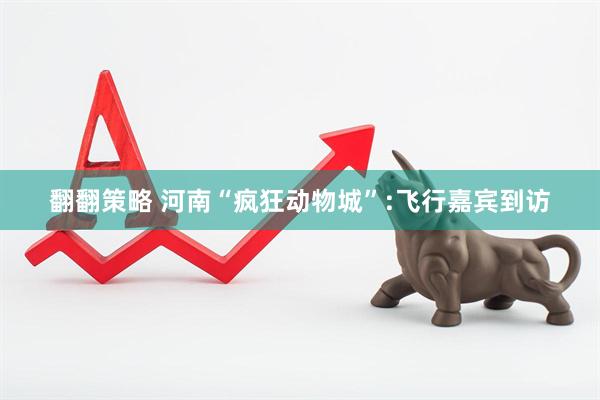 翻翻策略 河南“疯狂动物城”:飞行嘉宾到访