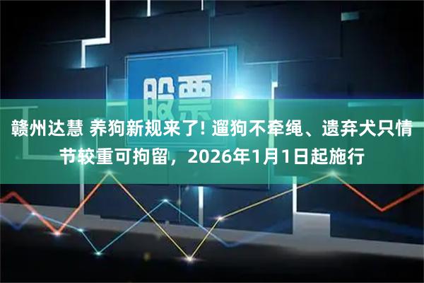 赣州达慧 养狗新规来了! 遛狗不牵绳、遗弃犬只情节较重可拘留，2026年1月1日起施行