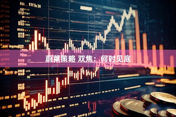 蔚莱策略 双焦：何时见底
