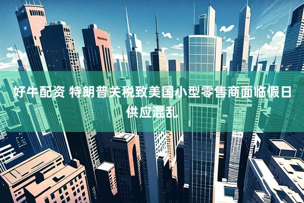 好牛配资 特朗普关税致美国小型零售商面临假日供应混乱