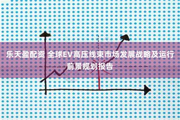 乐天盈配资 全球EV高压线束市场发展战略及运行前景规划报告